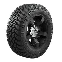 NIT 2857518 LIGHT DUTY TRUCK MUD TERRAIN