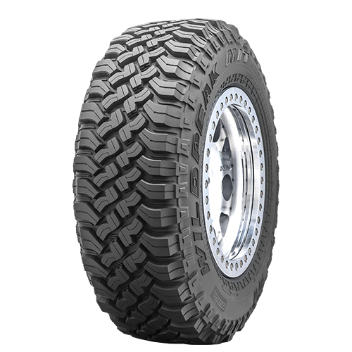 FAL 3157017 MUD TERRAIN